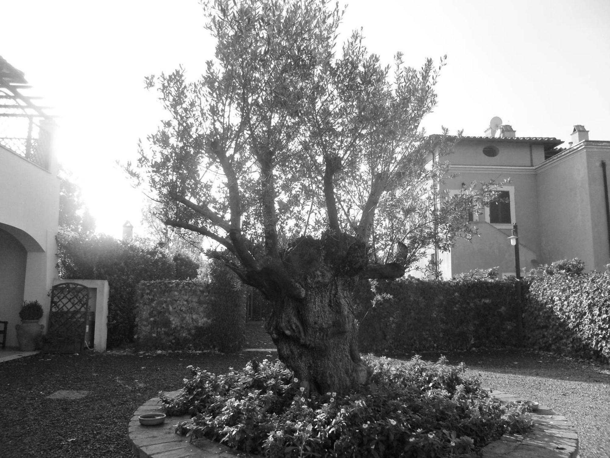 Casale Di Tormaggiore Villa And Country Suites Pomezia Exteriér fotografie
